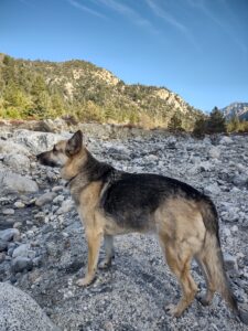 Montana creek side in Forest Falls